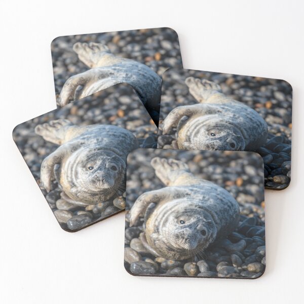 Item preview, Seal On Beach designed and sold by RobWalkley.