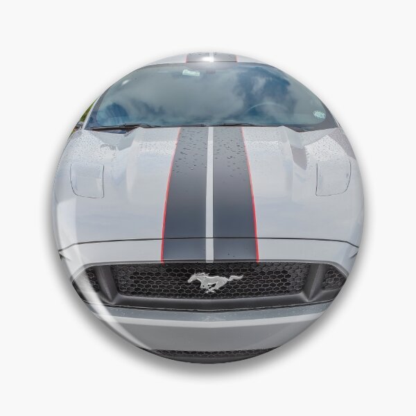 Item preview, 2017 Ford Mustang GT 5.0 X222 designed and sold by RichFrancoCars.
