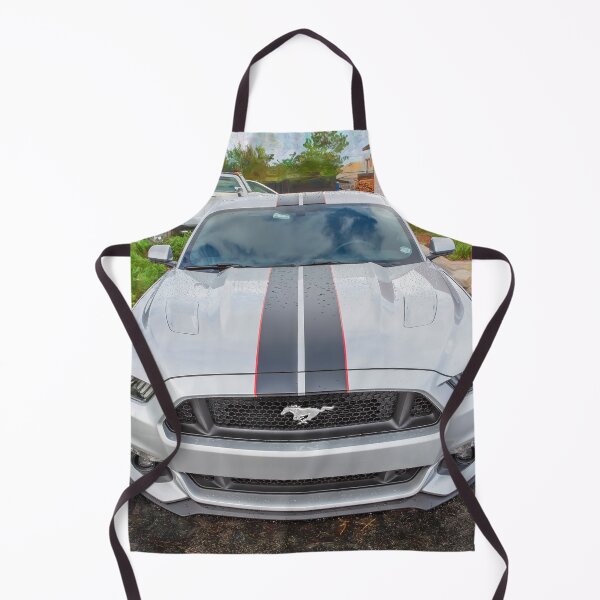 Item preview, 2017 Ford Mustang GT 5.0 X222 designed and sold by RichFrancoCars.