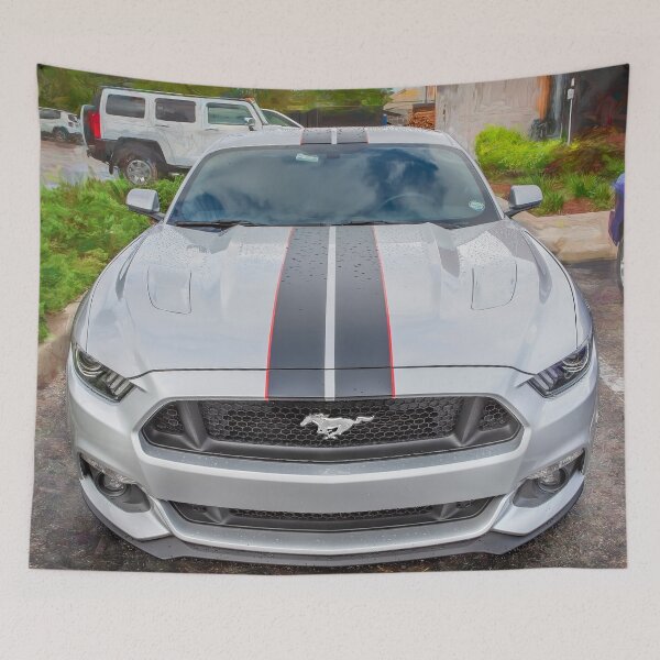 Item preview, 2017 Ford Mustang GT 5.0 X222 designed and sold by RichFrancoCars.
