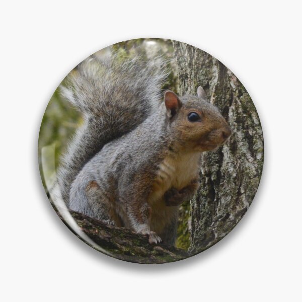 Item preview, Adorable Squirrel designed and sold by sshayrobinsonn.