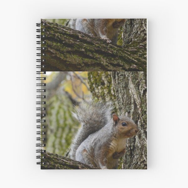 Item preview, Adorable Squirrel designed and sold by sshayrobinsonn.