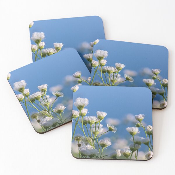 Item preview, Wild Daisies designed and sold by sharmander12.