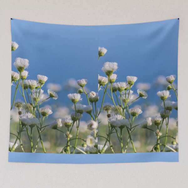 Item preview, Wild Daisies designed and sold by sharmander12.