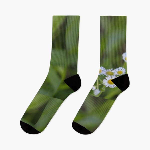 Item preview, Wild Daisies 2 designed and sold by sharmander12.
