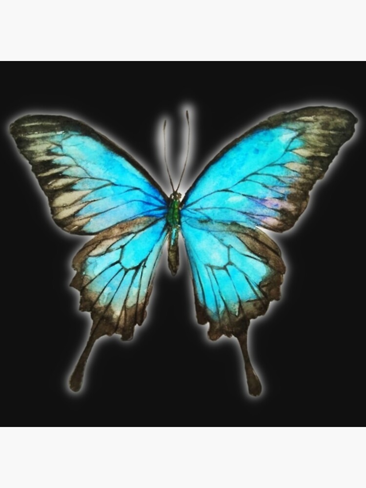 "Light Blue Butterfly" Art Print by butterflyzz Redbubble