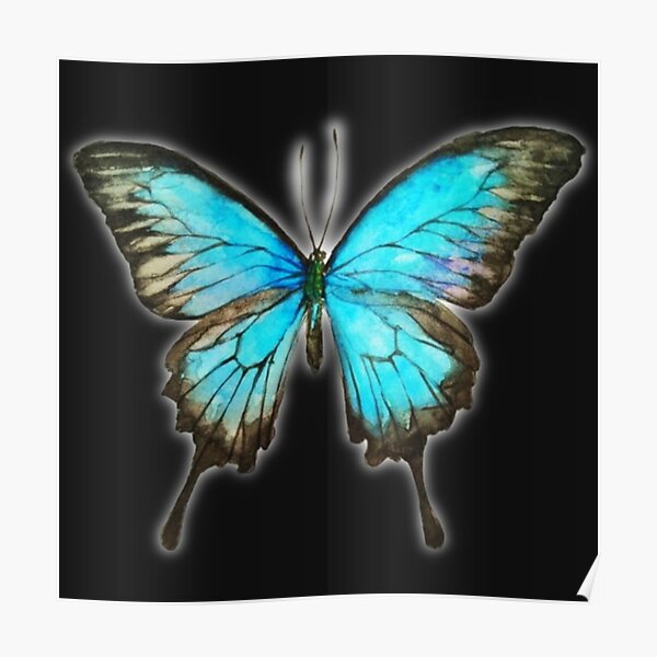 Light Blue Butterfly Poster For Sale By Butterflyzz Redbubble 8415