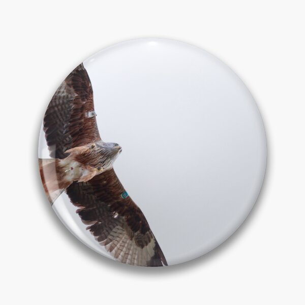 Item preview, Soaring red kite designed and sold by chanonry.