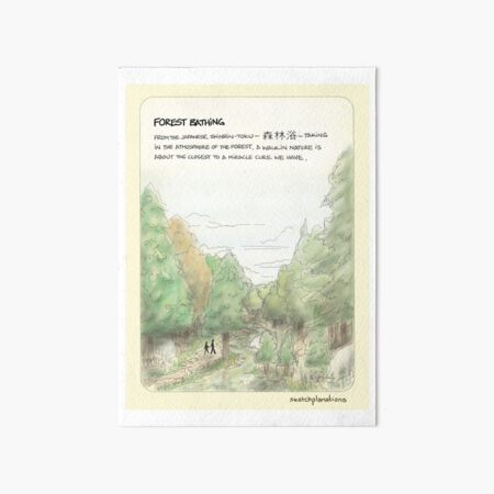 Forest bathing — Shinrin yoku Art Board Print