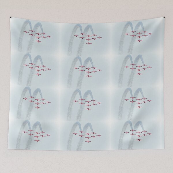 Item preview, Canadian Snowbirds is an amazing team. designed and sold by KimhengFineArt.