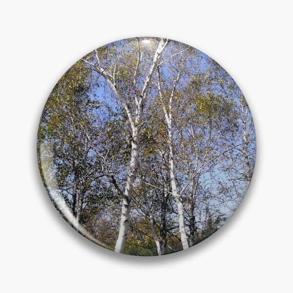 Item preview, Silver Birches designed and sold by Shulie1.