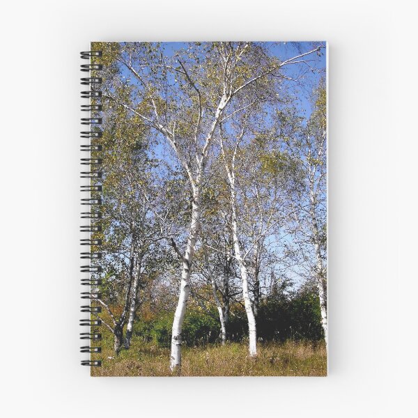 Item preview, Silver Birches designed and sold by Shulie1.