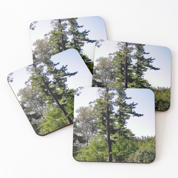 Item preview, Trees in Wakefield, Quebec, CANADA designed and sold by Shulie1.