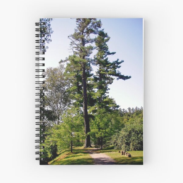 Item preview, Trees in Wakefield, Quebec, CANADA designed and sold by Shulie1.