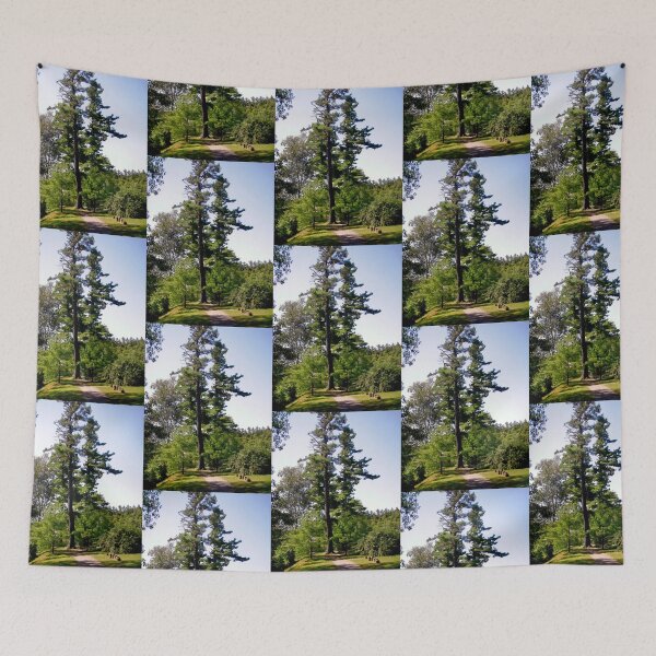 Item preview, Trees in Wakefield, Quebec, CANADA designed and sold by Shulie1.