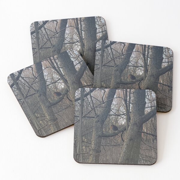 Item preview, Robin sentado en la rama de un árbol. designed and sold by Andrew Hopgood.