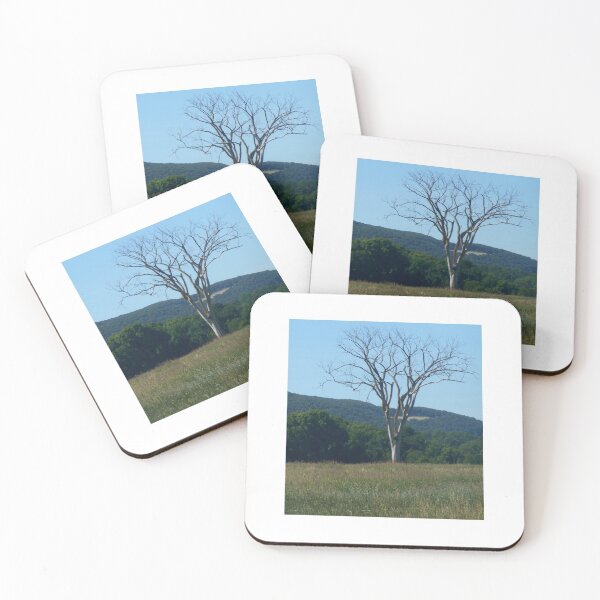 Item preview, Copake,NY rail trail designed and sold by SamiC06.