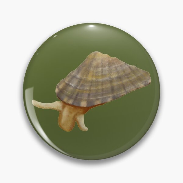 Item preview, Keyhole Limpet designed and sold by Squiddllr.