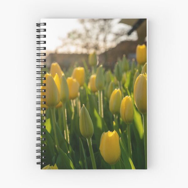 Item preview, Yellow Tulips designed and sold by Praytera.
