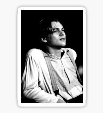 leonardo dicaprio Sticker