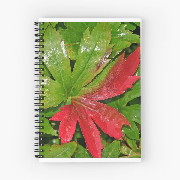 Item preview, Undecided designed and sold by Eileen McVey.