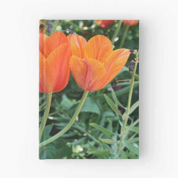 Item preview, Couple of orange tulips designed and sold by Aase.
