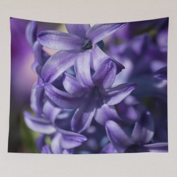 Item preview, Say Hi Hyacinth designed and sold by Jacquelie.