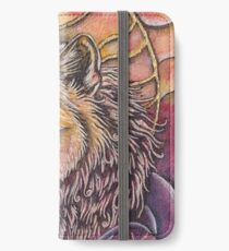 Denali iPhone Wallet/Case/Skin