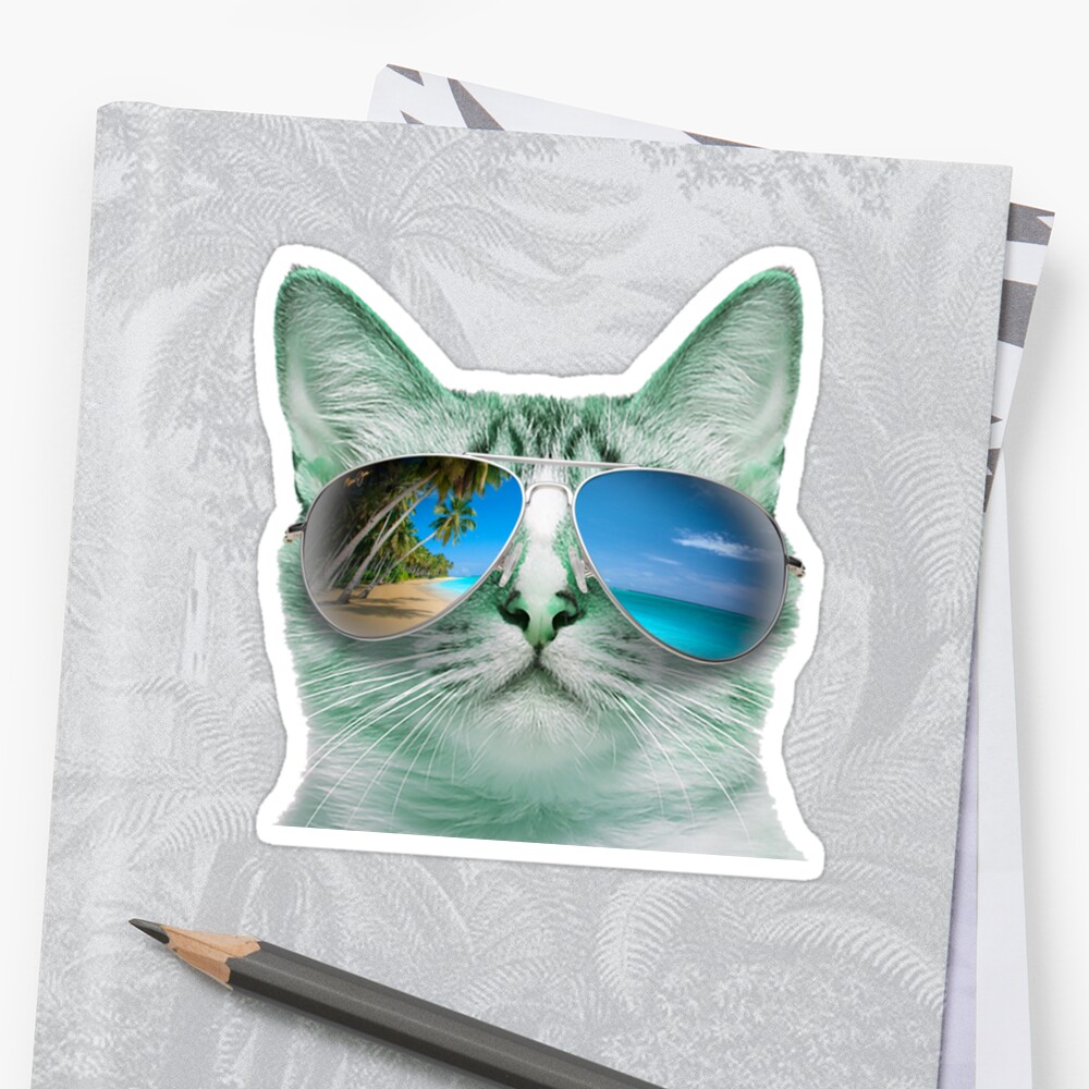 Cat Wearing Sunglasses Sun Glasses Beach Tropical Grumpy Ocean Kitten