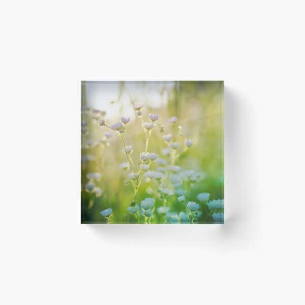 Item preview, Mini daisies  designed and sold by Efineart.