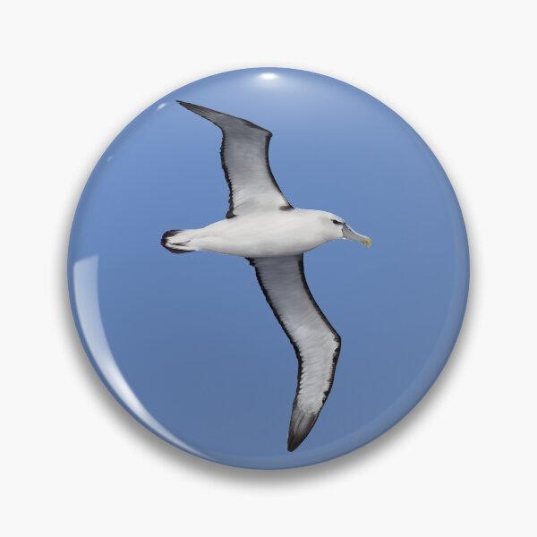 Item preview, Shy Albatross Seabird Painting designed and sold by DiomediaDesigns.