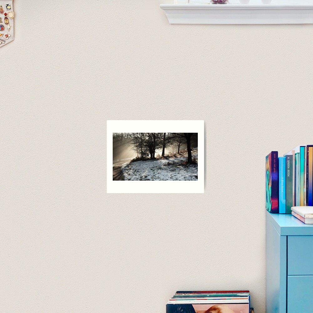Winter Sun at the Downs Art Print