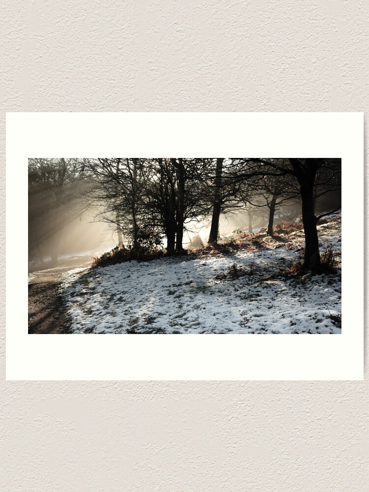 Alternate view of Winter Sun at the Downs Art Print