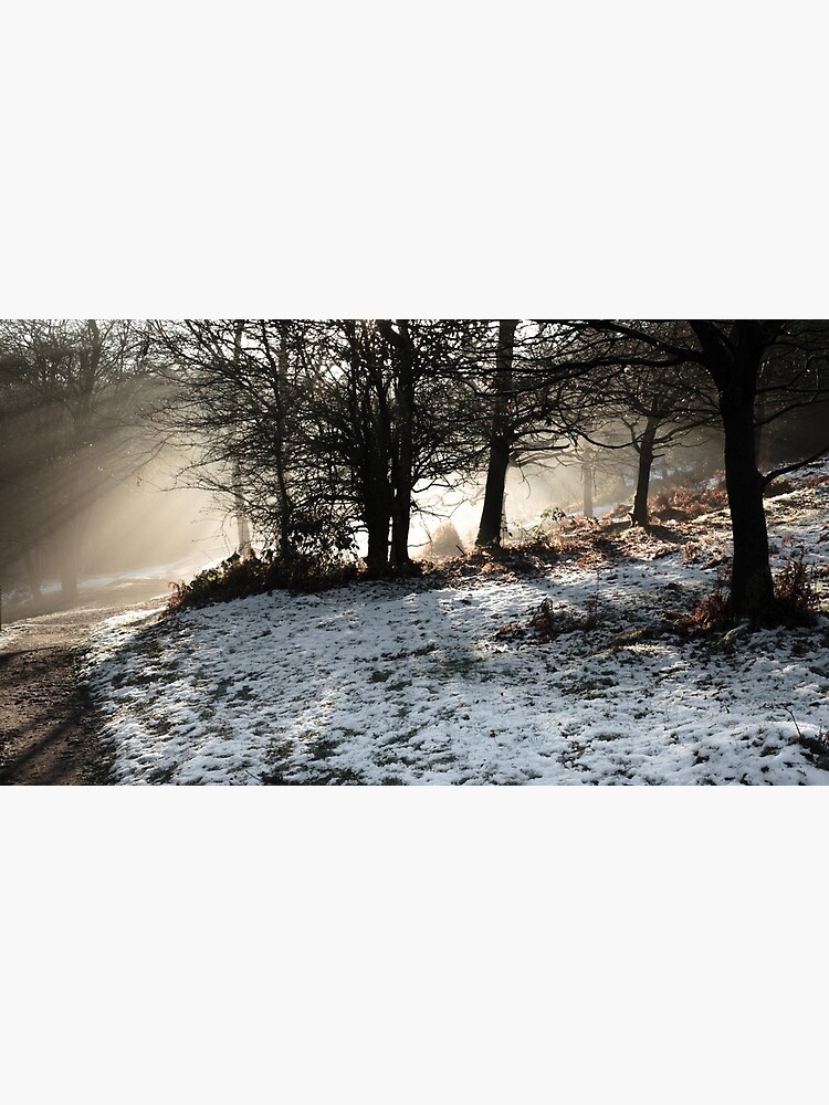 Winter Sun at the Downs by IanJTurner