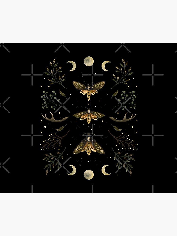 Death Head Moths Night by episodicDrawing
