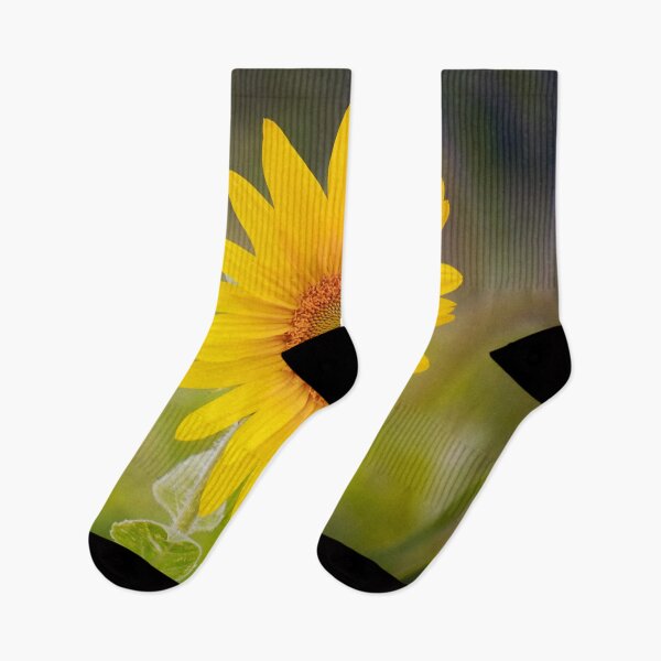 Item preview, Sunflower in a field designed and sold by Efineart.