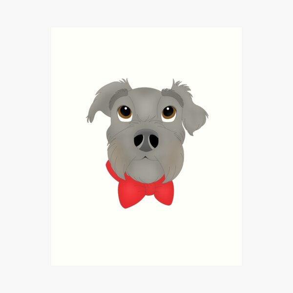 Staffy best sale schnauzer cross