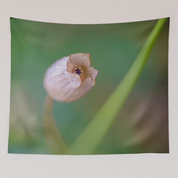 Item preview, Dusty Pink  designed and sold by Efineart.
