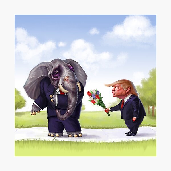 An Elephant Shouldn't Forget Photographic Print