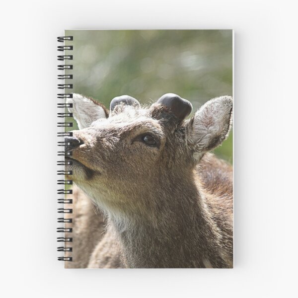 Item preview, Sika Deer designed and sold by MendipBlue.