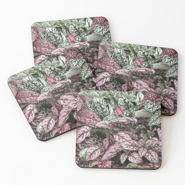 Item preview, Polka Dot Plants designed and sold by mynannysplace.