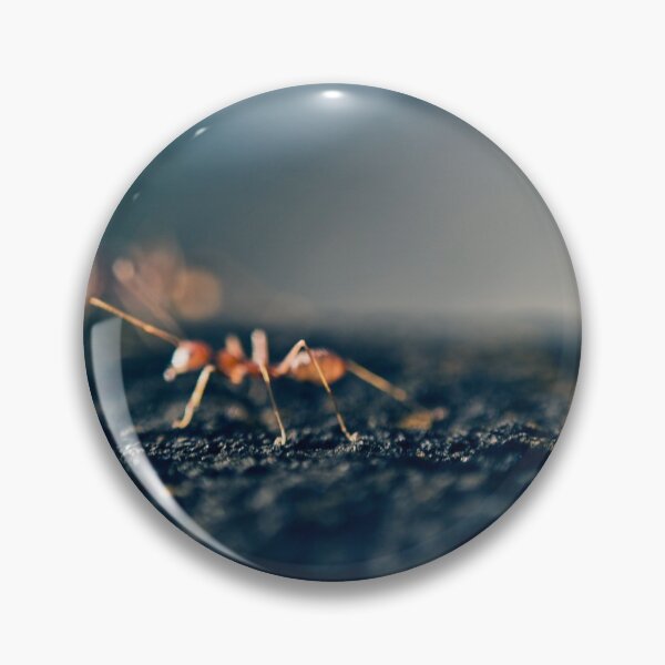 Item preview, ant world designed and sold by Shovona Karmakar.