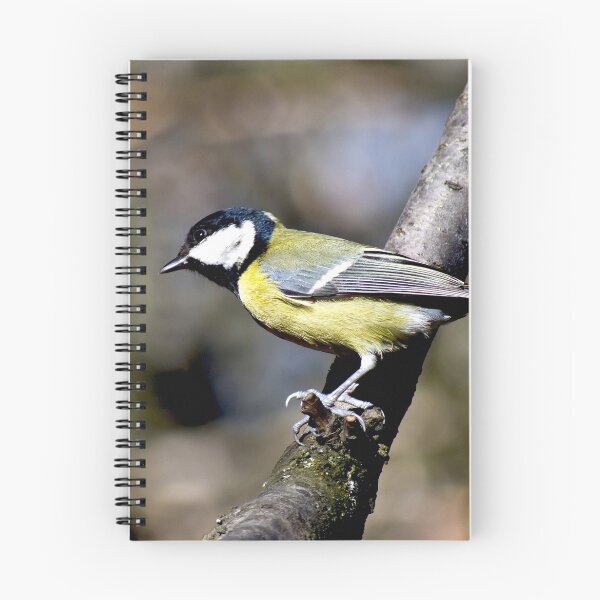 Item preview, Parus major designed and sold by MarekM.