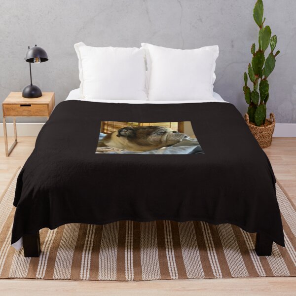 Item preview, An English bulldog waking up from a nap. designed and sold by Mariann Moritz.