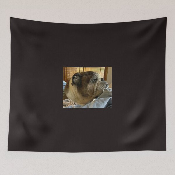 Item preview, An English bulldog waking up from a nap. designed and sold by Mariann Moritz.