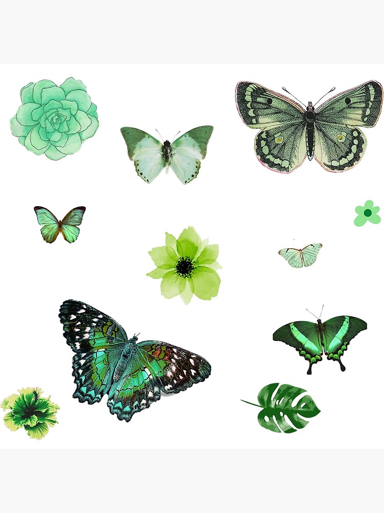 green butterflies and flower sticker pack Poster for Sale by monikizz