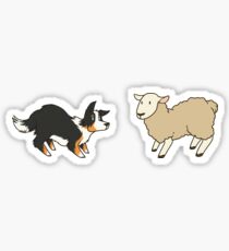 Come Bye - Tri-color dog and white sheep Sticker