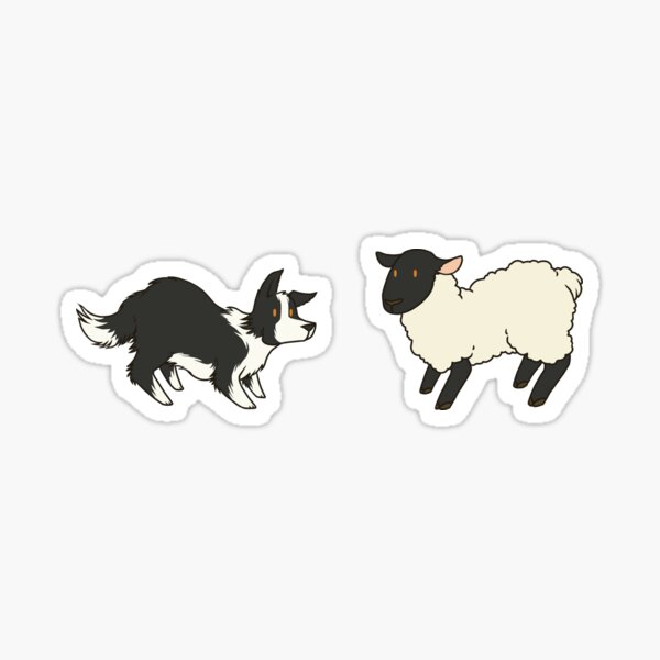 Come Bye - B&W dog and black sheep Sticker