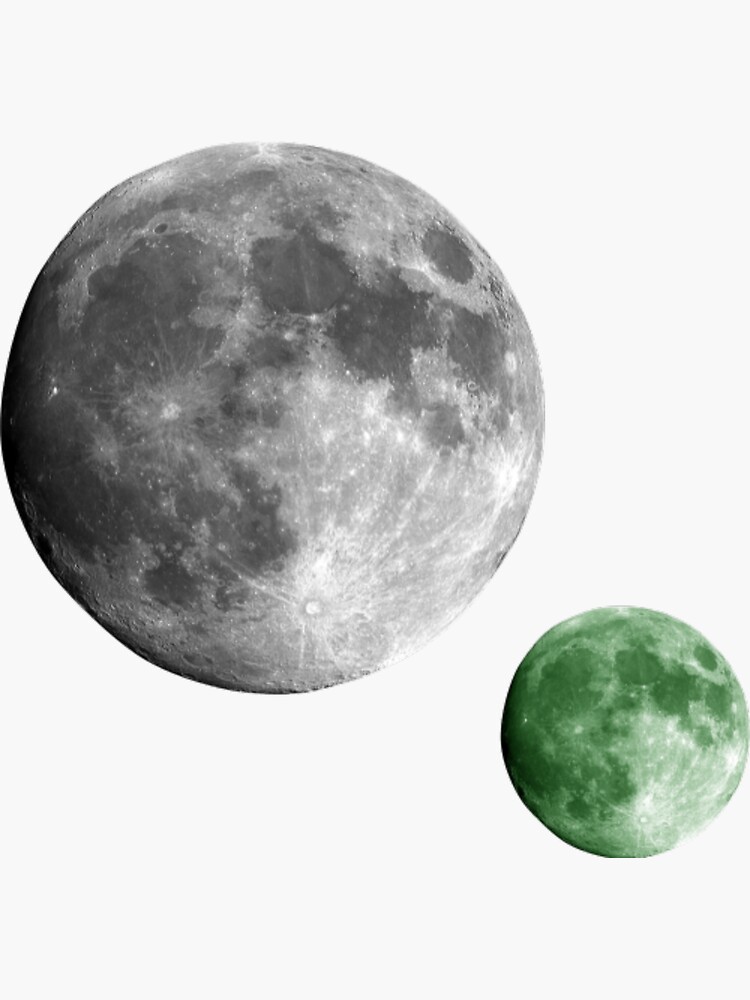 開店記念セール！ Two 1Q84 moons Murakami Haruki その他