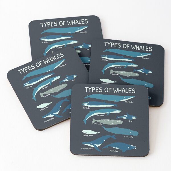 Item preview, Types Of Whales Educational Collection Marine Biology Gifts designed and sold by JokeGysen.